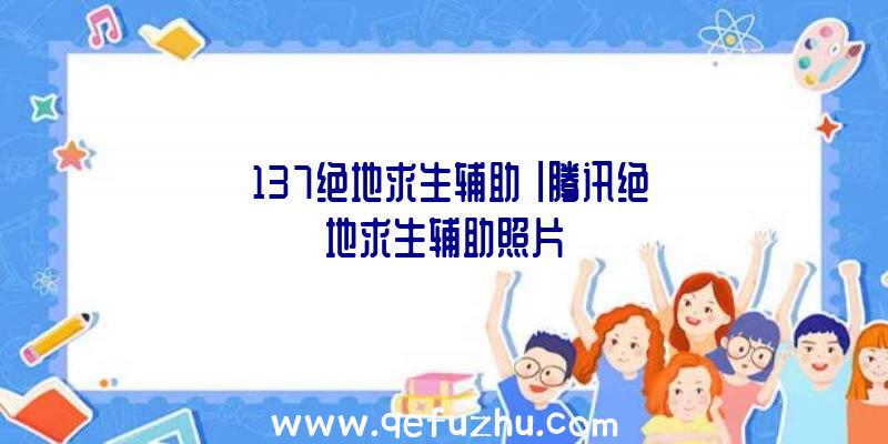 「137绝地求生辅助」|腾讯绝地求生辅助照片